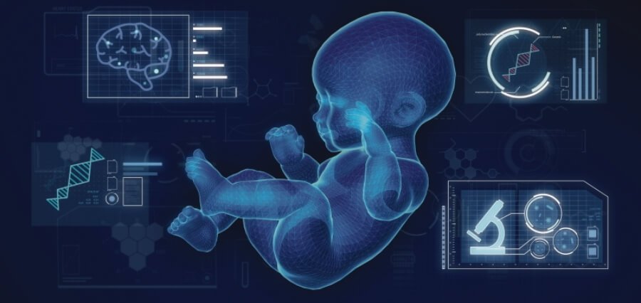 Read more about the article Digital Babies Created by University of Galway for Enhancing Infant Care